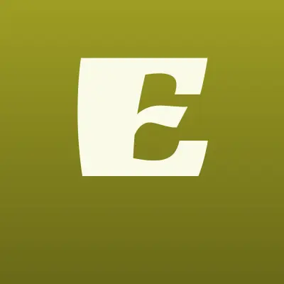 Эверест, спортивный клуб единоборств, лого-визитка